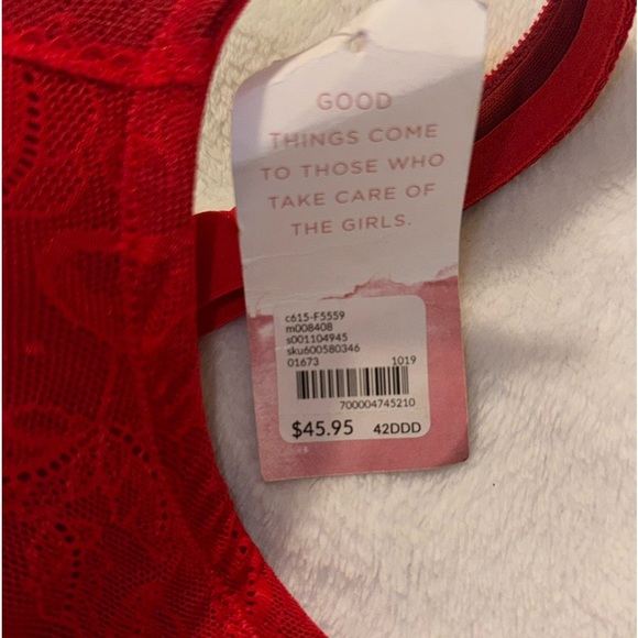 Cacique The modern collection New* NWT - Picture 3 of 12